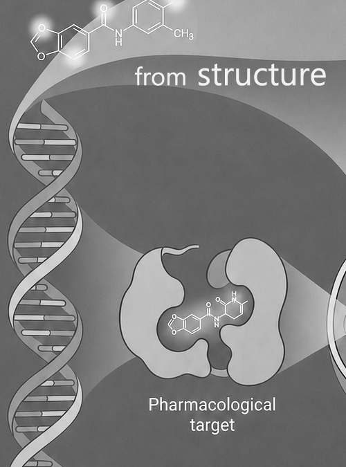 Chemical structure representation used in computational drug discovery