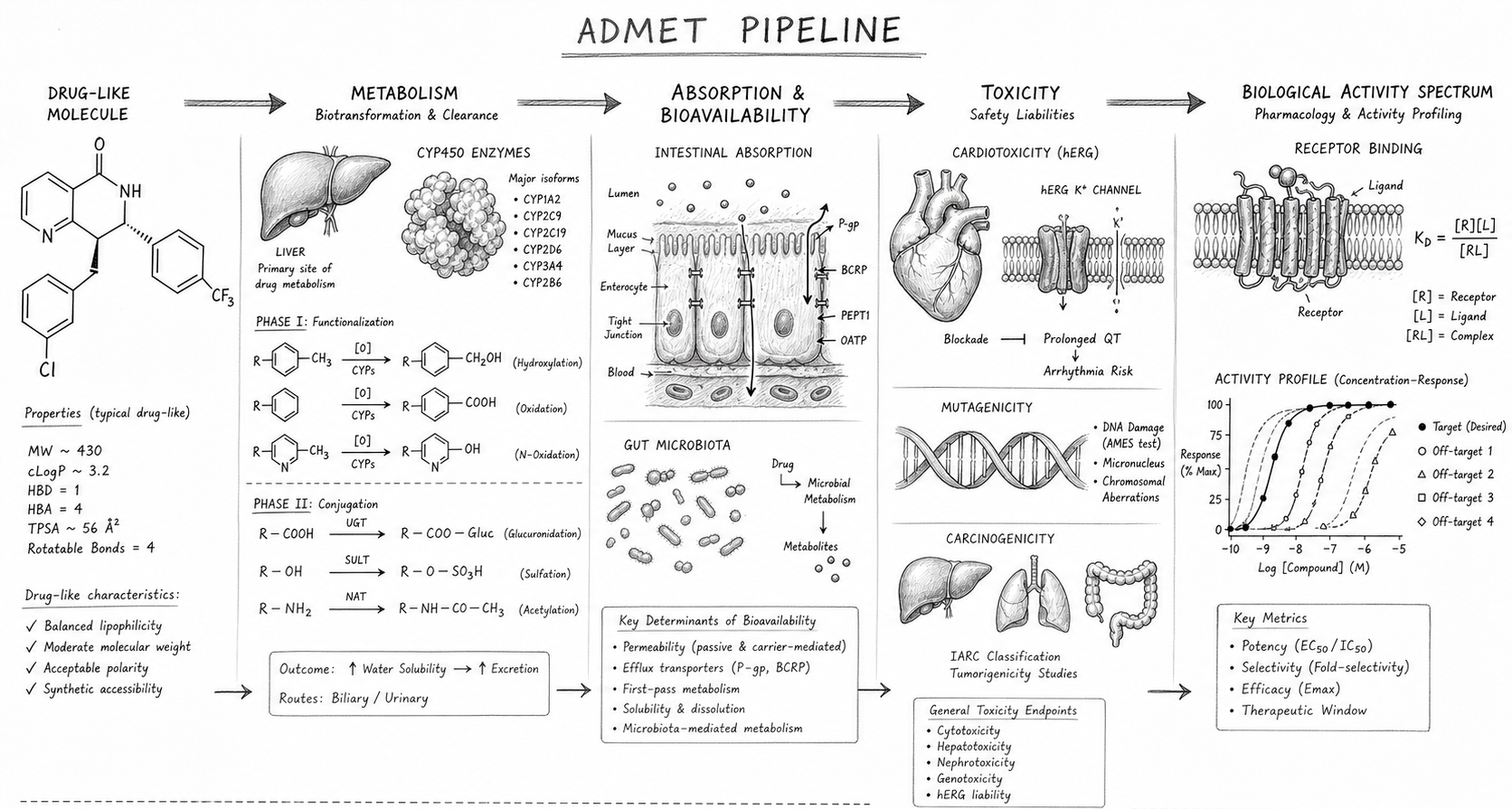 ADMET
