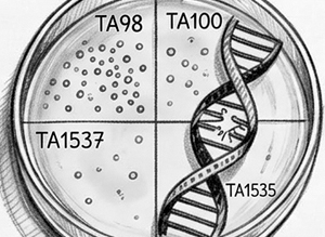 Ames mutagenicity prediction research