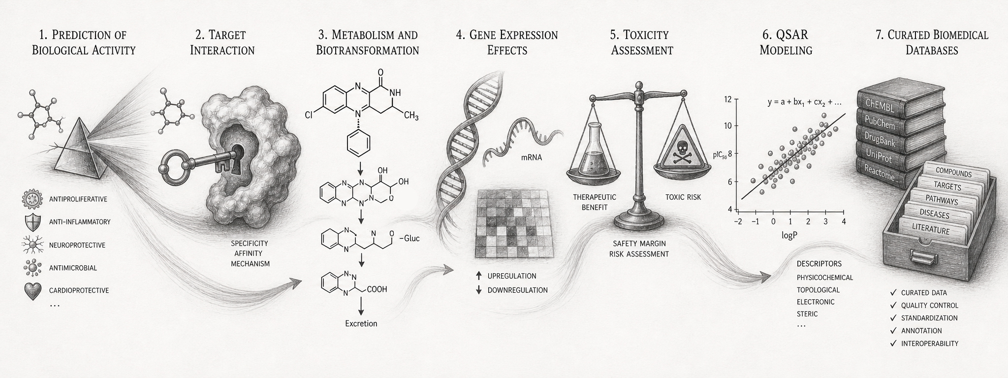 Molecular structure-based computational drug discovery workflow