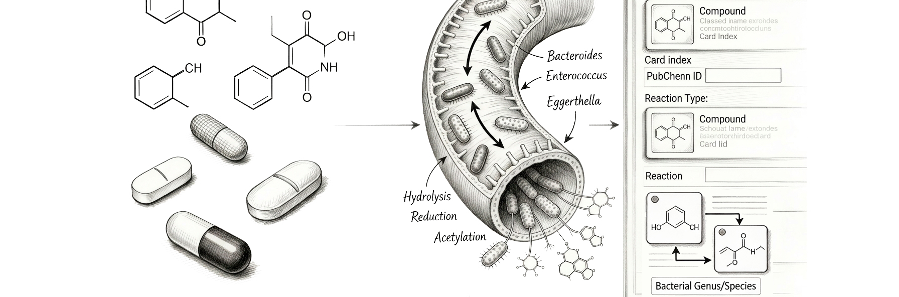 Drug Biotransformation Apps