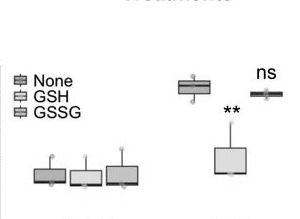 Cheminformatics research on compounds for acute myeloid leukemia
