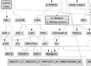 Research on 5-fluorouracil-induced mucositis mechanisms