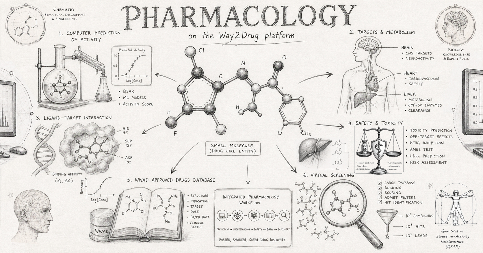 Pharmacology
