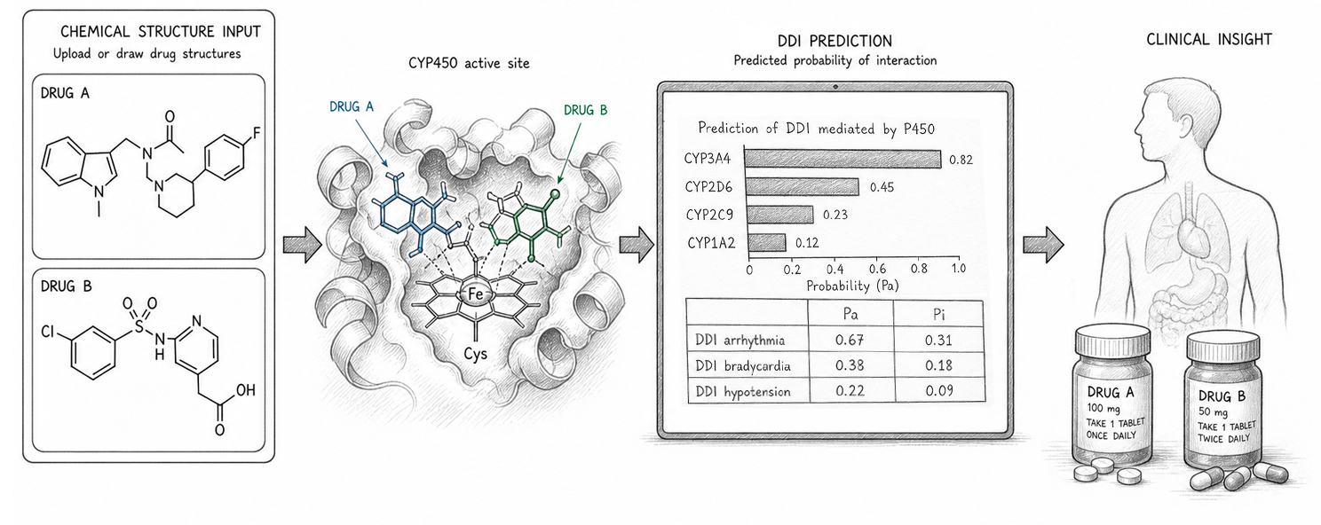 Computer-aided research on drug–drug interactions