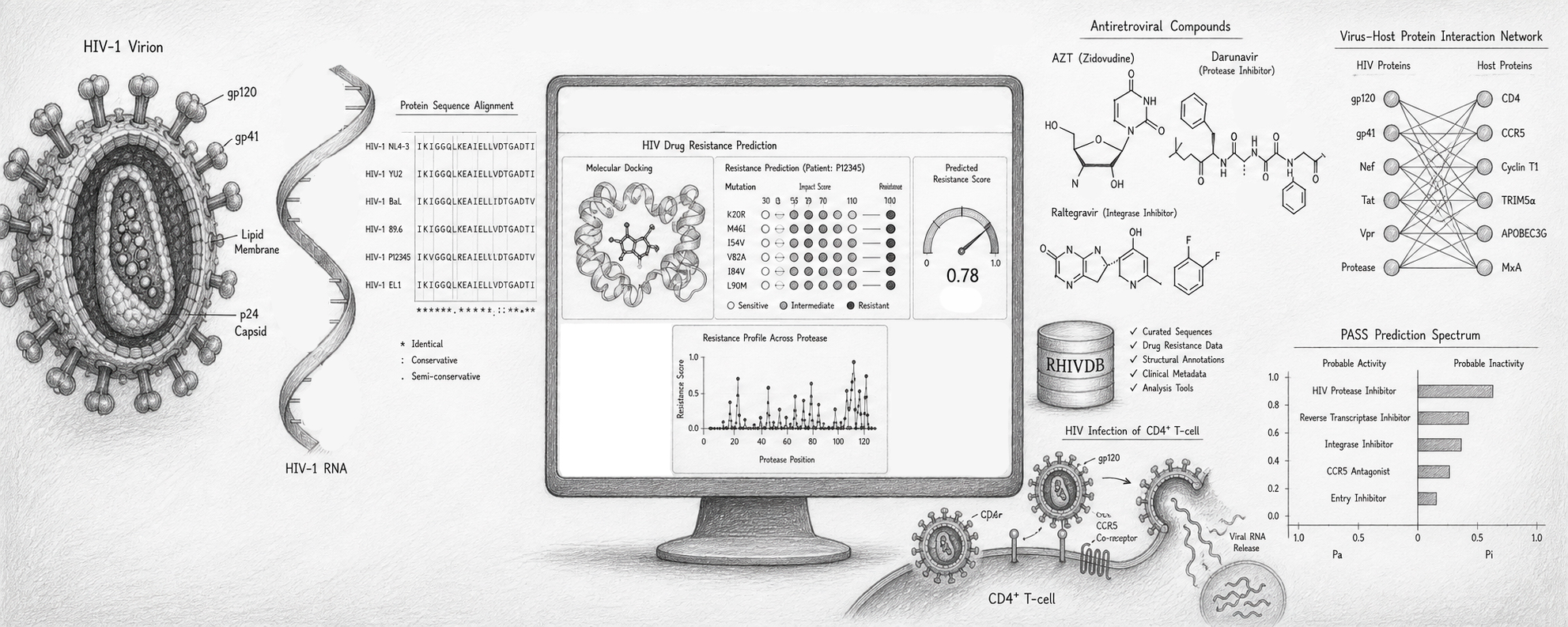 HIV/AIDS Research