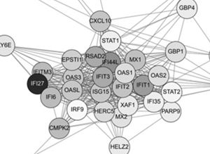 Transcriptomic study of immune response during antiretroviral therapy