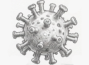 Community-based computational research for SARS-CoV-2 drug discovery