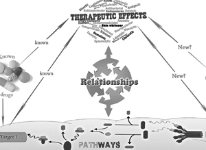 Review of chemo- and bioinformatics resources for medicinal-plant drug discovery
