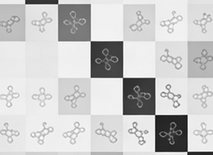 Proteochemometric prediction of viral protease inhibitors