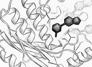 Molecular docking research on HIV-1 resistance to reverse-transcriptase inhibitors