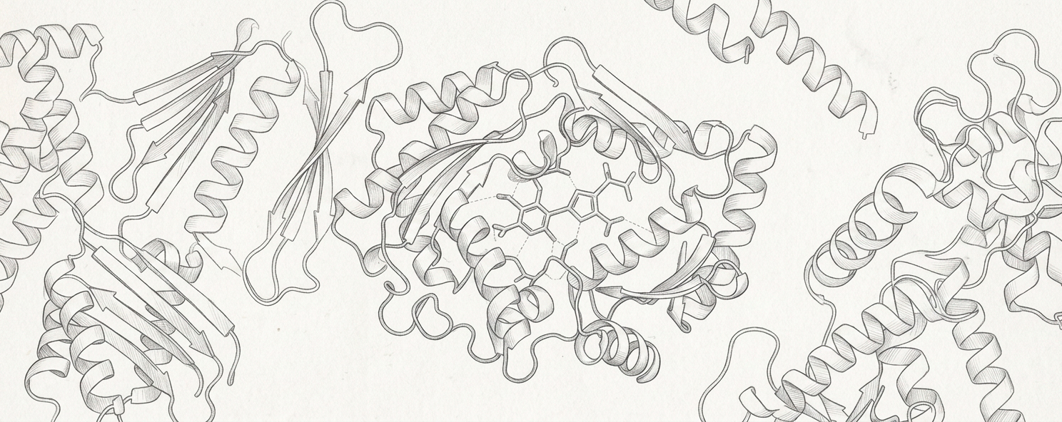 Molecular Docking