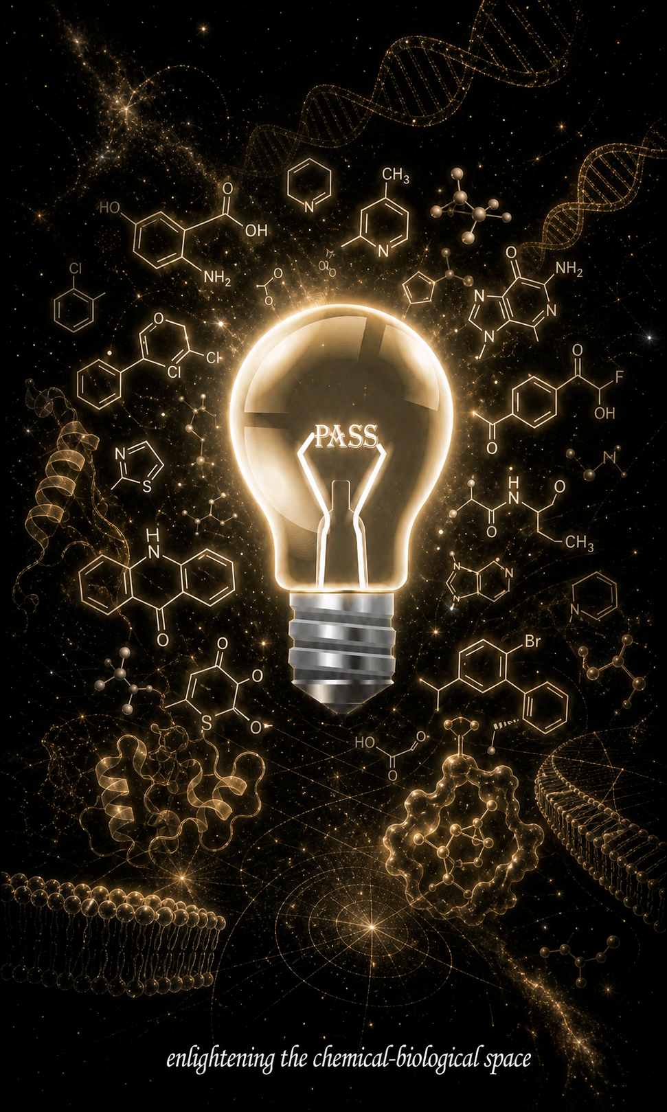 PASS local software for structure-based activity profiling