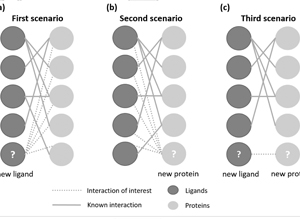 Prediction of protein–ligand interactions using sequence and ligand features