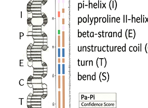 Research on protein secondary-structure prediction using molecular-fragment descriptors