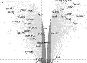 Transcriptomic profiling of neural cultures from an induced pluripotent stem-cell line