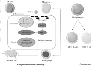 Review of viral factors and host immune-response modulation